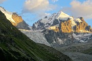 92 Slpendido Piz Roseg ancora illuminato dal sole